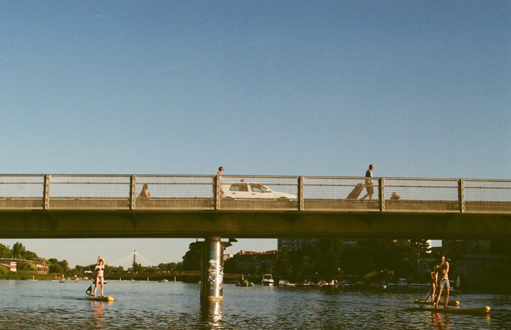 Larven in der Donau