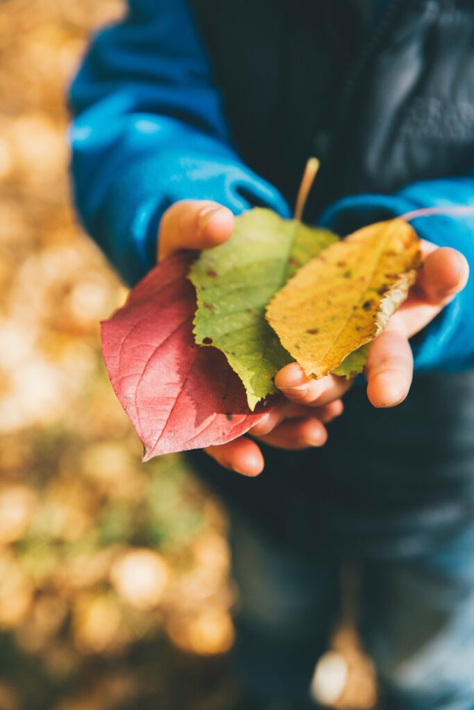 Bastel-Ideen Herbst